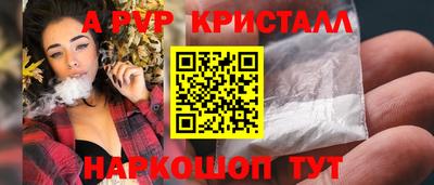 гидра Будённовск