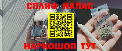 гидра Будённовск