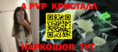 гидра Будённовск