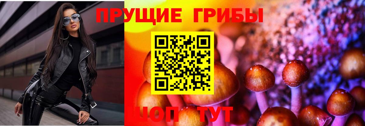 Псилоцибиновые грибы MAGIC MUSHROOMS  Вход с VPN  Галлюциногенные грибы MAGIC MUSHROOMS  Уварово 